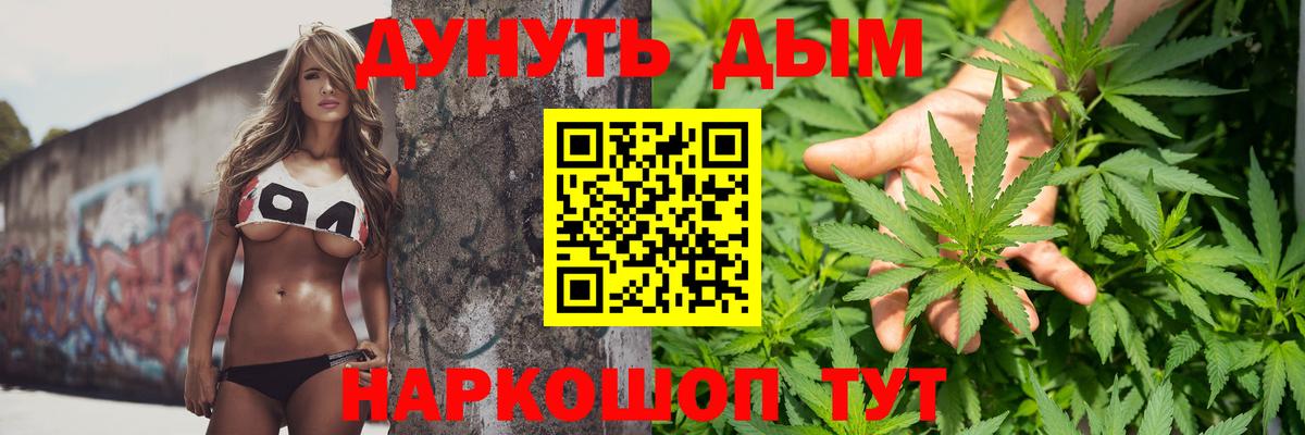 Конопля сатива Зеленогорск